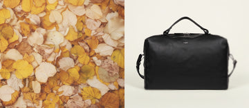 AUTUMN DAYS TRAVEL